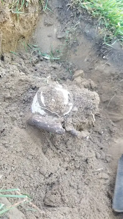 Roto-Rooter Plumbing & Water Cleanup Picture 7