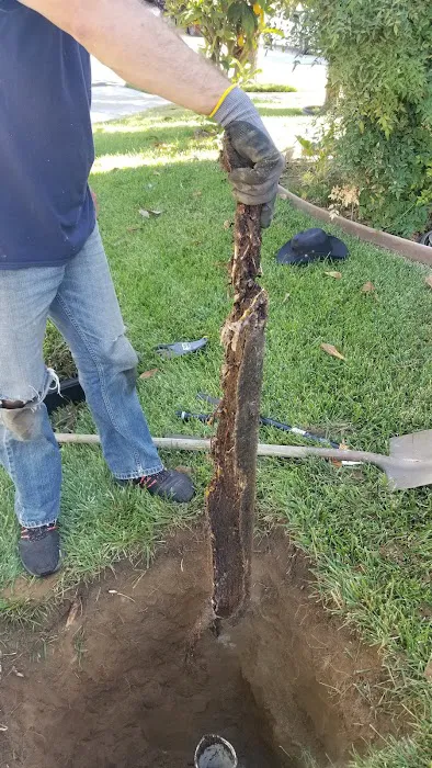 Roto-Rooter Plumbing & Water Cleanup Picture 8