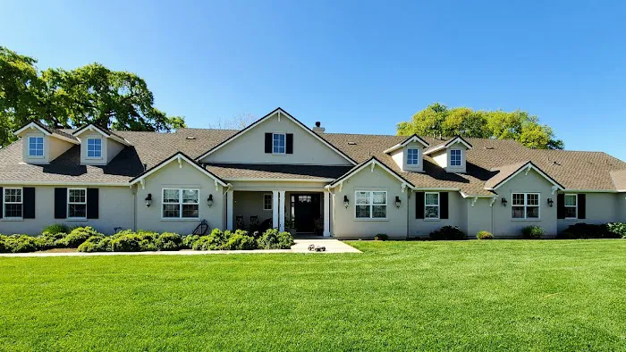 Next Level Painting Picture 7