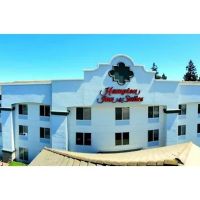 Next Level Painting ico