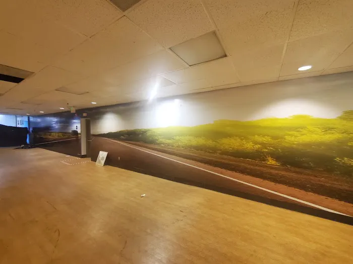 Next Level Painting Picture 8