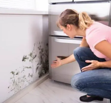 Otter Water Restoration LLC Picture 6