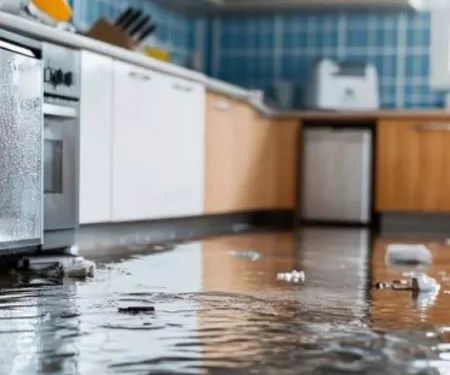 Otter Water Restoration LLC