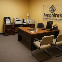 Sapphire's Mold Removal & Remediation Elk Grove CA ico