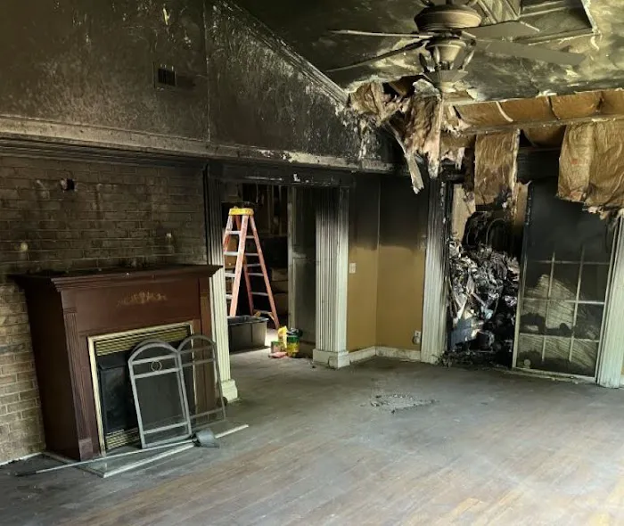 Blue Rescue Restoration Picture 1