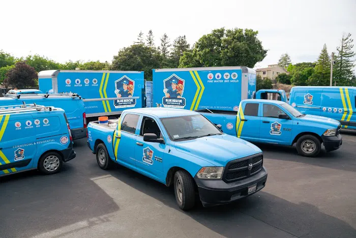 Blue Rescue Restoration Picture 5