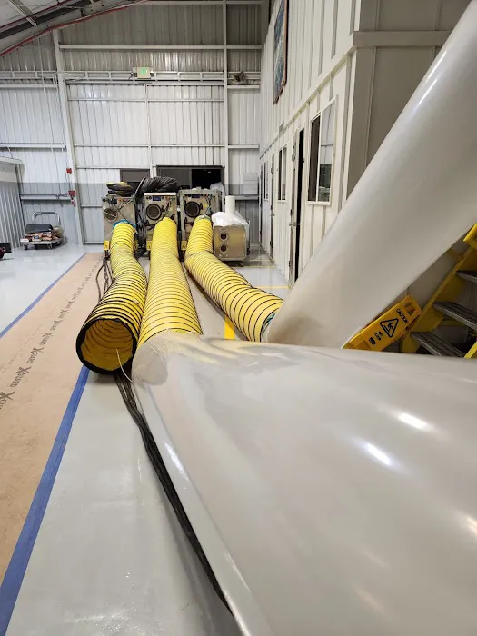 Blue Rescue Restoration Picture 10