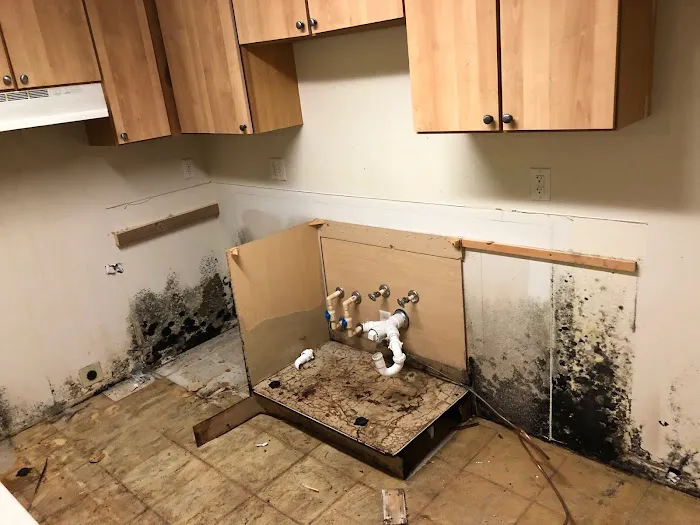 BluSky Restoration Contractors Picture 10