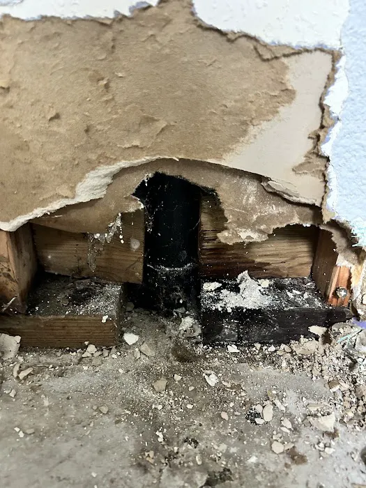 Roto-Rooter Plumbing & Drain Services Picture 2