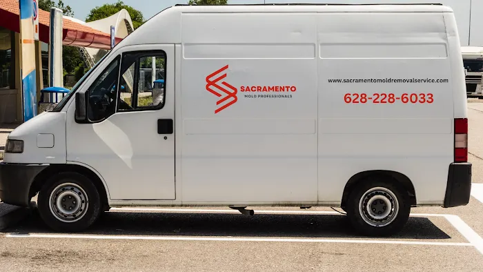 Sacramento Mold Professionals Picture 1