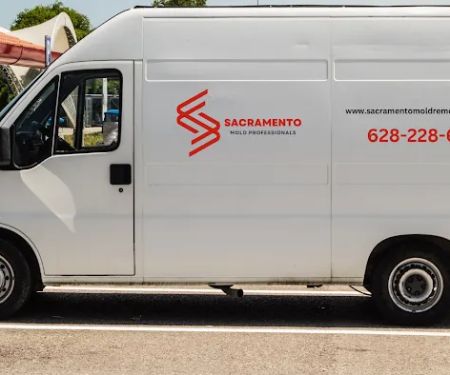 Sacramento Mold Professionals