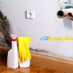 Speedy Mold Removal
