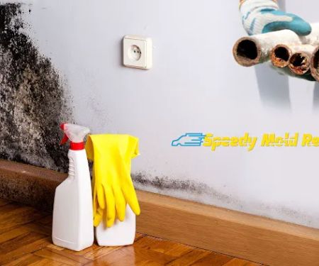 Speedy Mold Removal