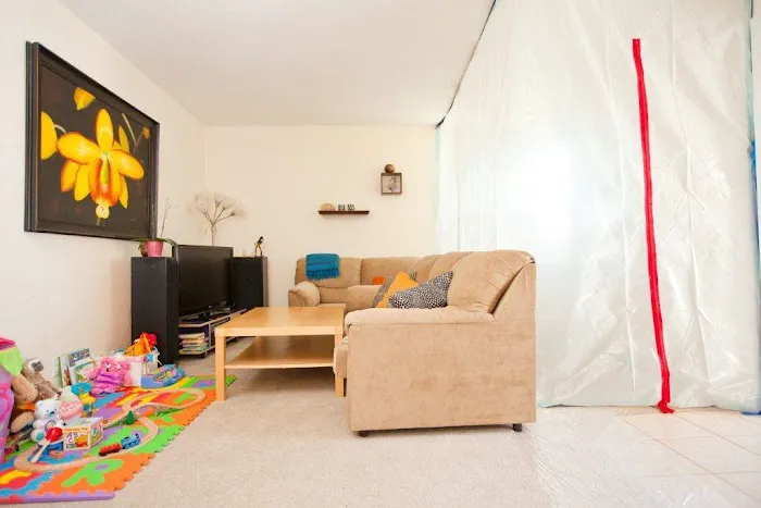 Speedy Mold Removal Picture 3