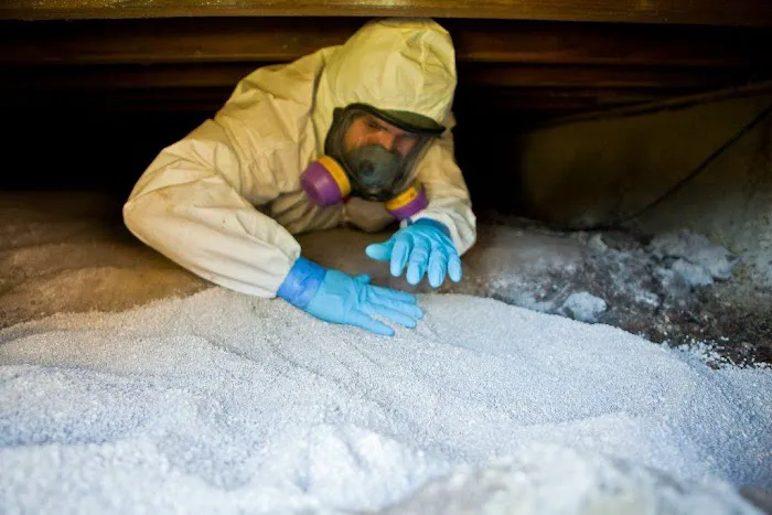 Speedy Mold Removal Picture 4