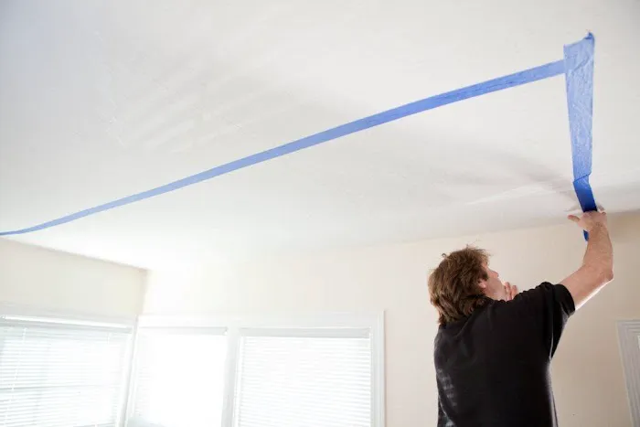 Speedy Mold Removal Picture 5