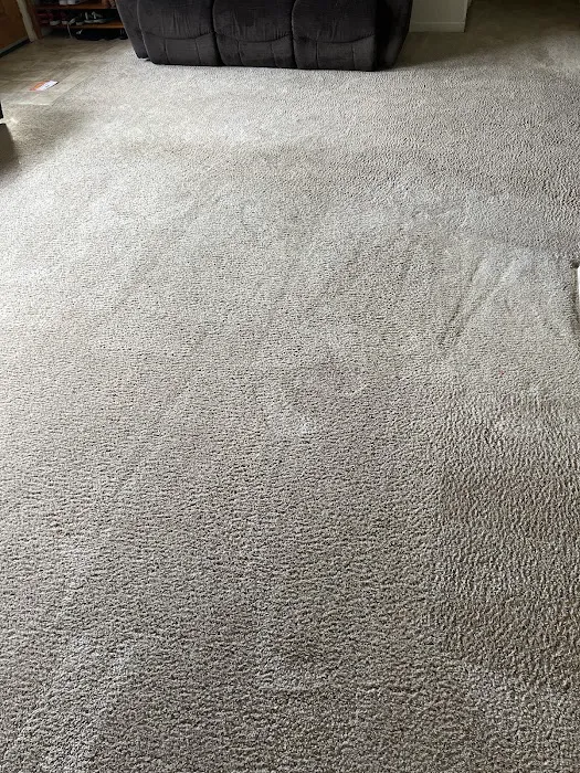 Stanley Steemer Picture 8