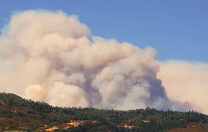 Pinnacle Emergency Management, Inc. Picture 5