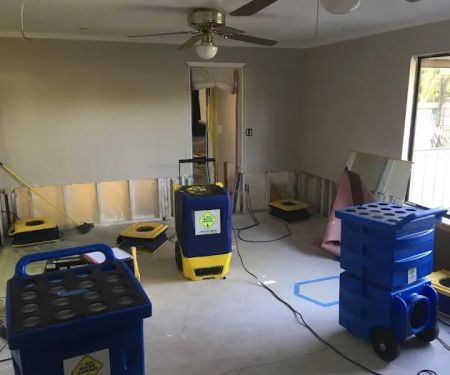 1-800 WATER DAMAGE of NE Sacramento-Folsom