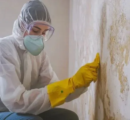 Quality Water Damage Restoration LLC Picture 1