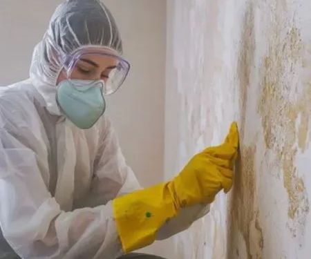 Quality Water Damage Restoration LLC