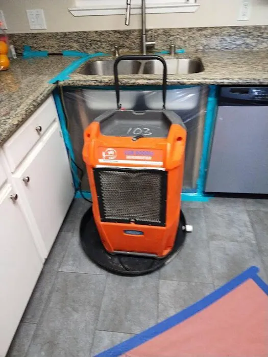 Reactic Restoration Picture 4