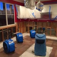 GLAD Restoration ico