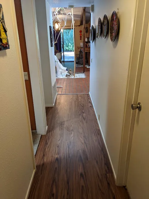 Water Smoke & Mold Removal Picture 4