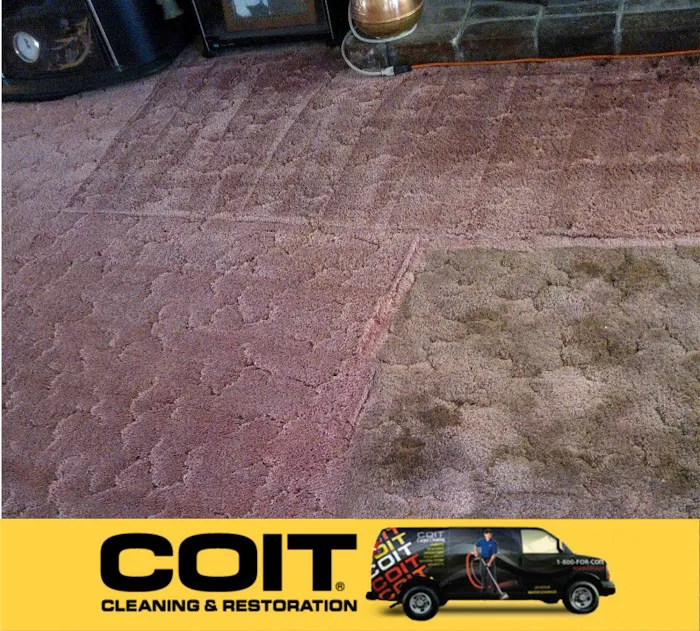 COIT Cleaning and Restoration Picture 5