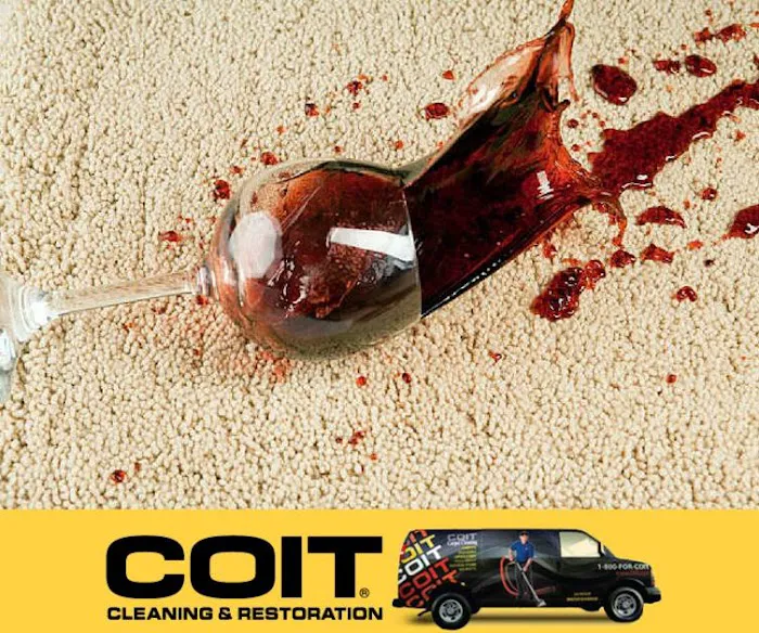 COIT Cleaning and Restoration Picture 6