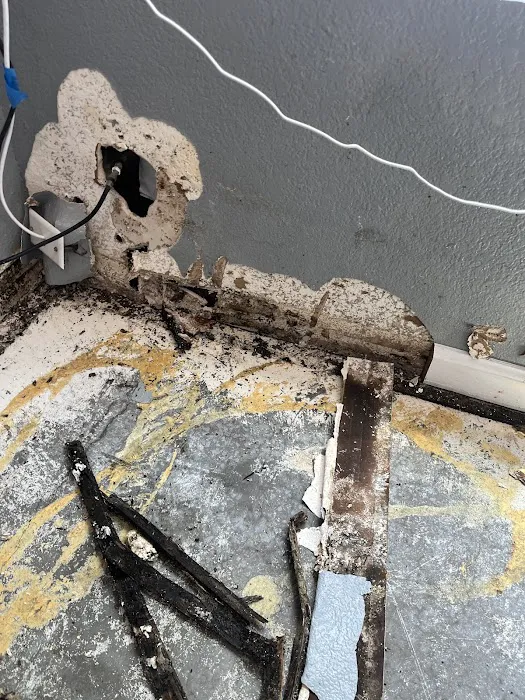 TechsDry Cleaning and Restoration L.L.C Picture 10