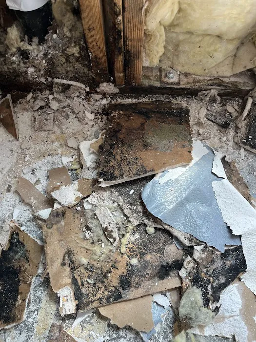 TechsDry Cleaning and Restoration L.L.C Picture 3