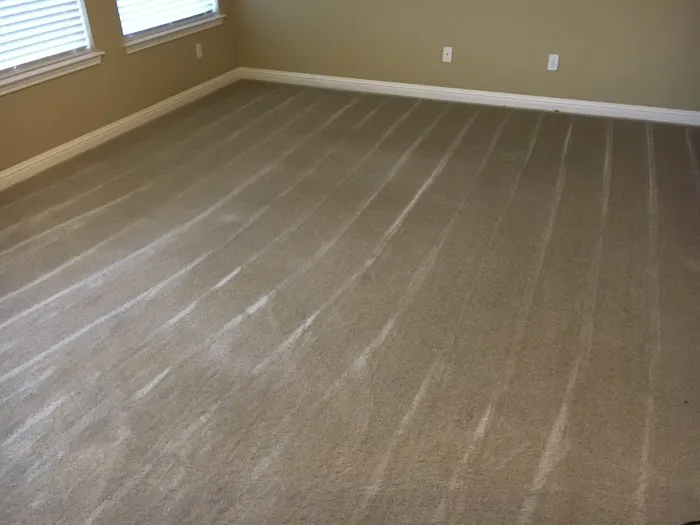 BioSweep Sacramento Odor Removal Picture 9