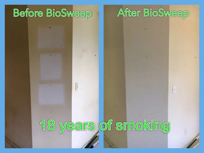 BioSweep Sacramento Odor Removal Picture 1