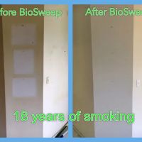 BioSweep Sacramento Odor Removal ico