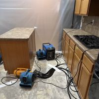 RESCO - Restoration Emergency Services Company ico