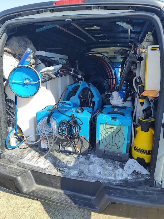 Infinity Carpet Care Picture 5