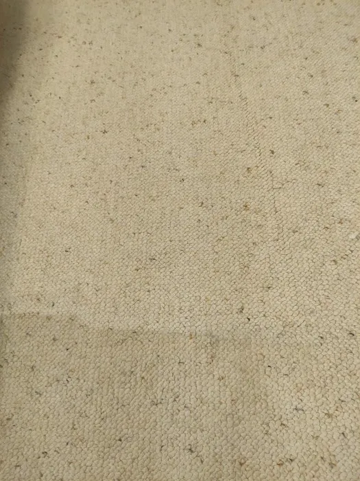 Infinity Carpet Care Picture 9