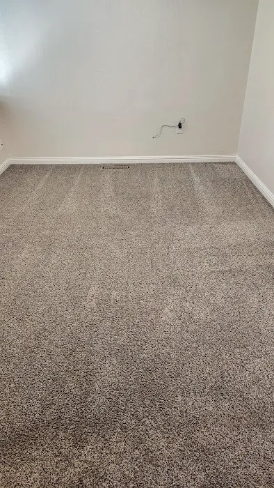Infinity Carpet Care Picture 6