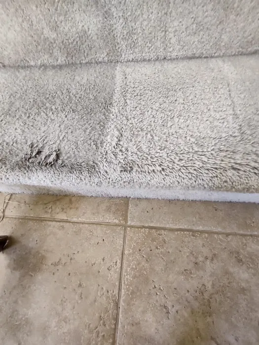 Infinity Carpet Care Picture 1