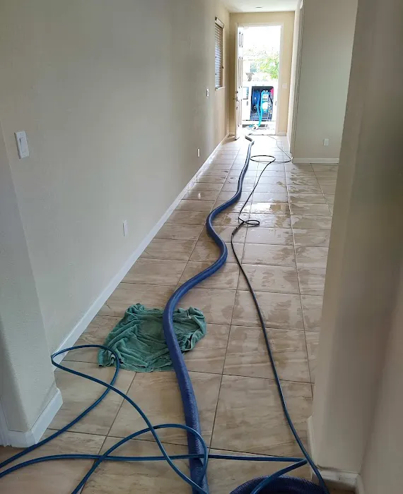 Infinity Carpet Care Picture 3