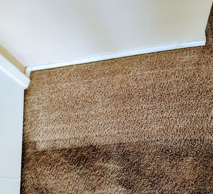 Infinity Carpet Care Picture 10