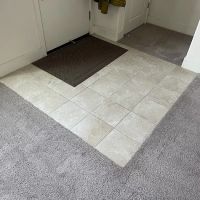 Big Dog Cleaning and Restoration ico