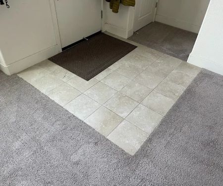 Big Dog Cleaning and Restoration