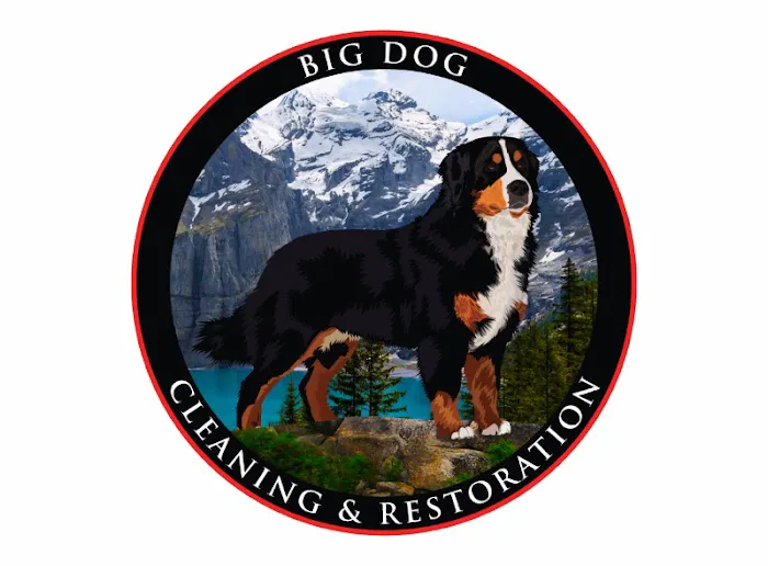 Big Dog Cleaning and Restoration Picture 7