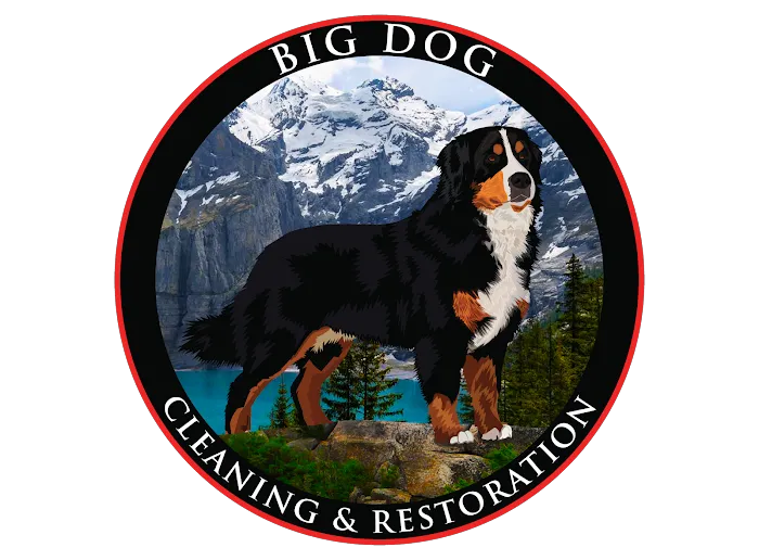 Big Dog Cleaning and Restoration Picture 8