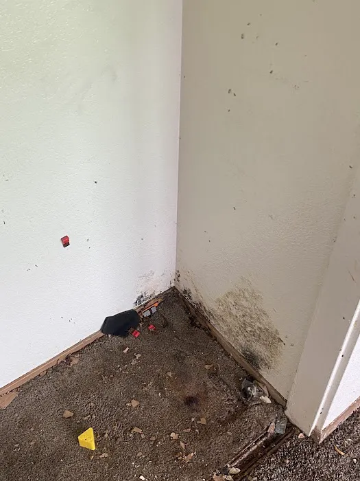 Restoration Specialty, Inc. Picture 10