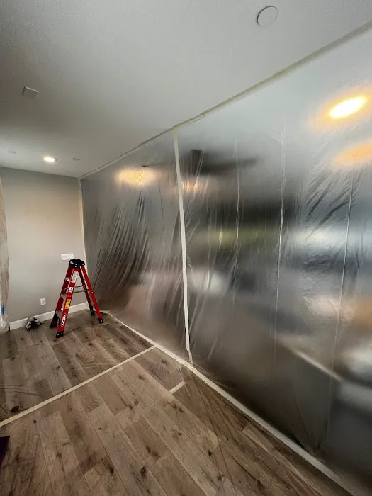 Diaz Pro Painting Picture 1