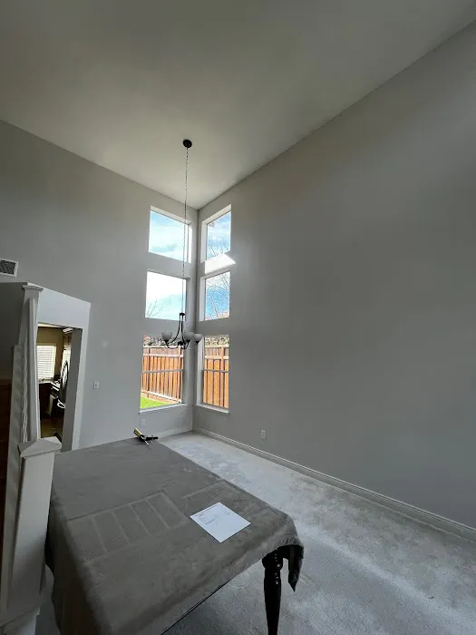 Diaz Pro Painting Picture 6