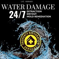 Property Services ico